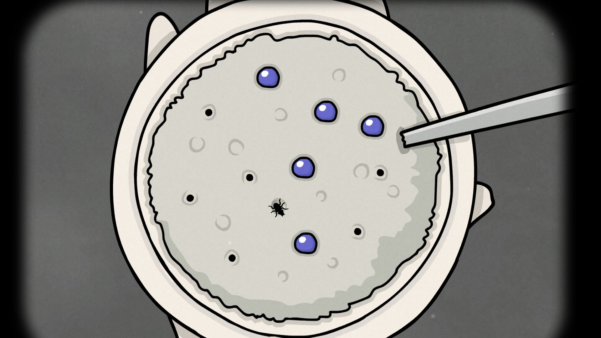 Porridge berry and insect scene